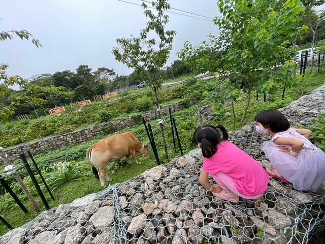 【假日親子好去處】捉緊暑假條尾，帶子女到哪逛逛？